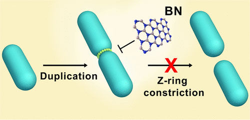 Two-dimensional boron nitride (BN) nanosheets are reported to exhibit antibiotic-like activity to antimicrobial resistant bacteria