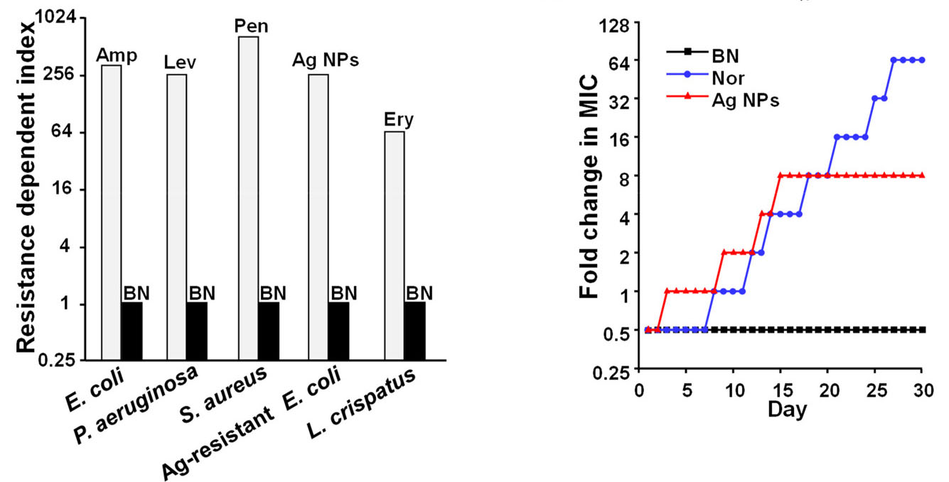 Antibacterial effects of boron nitride nanosheets