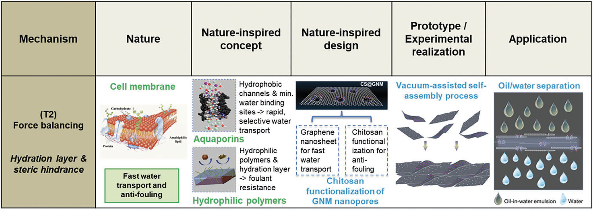 Nature-inspired force balancing mechanisms to realize selective high-flux, anti-fouling membranes