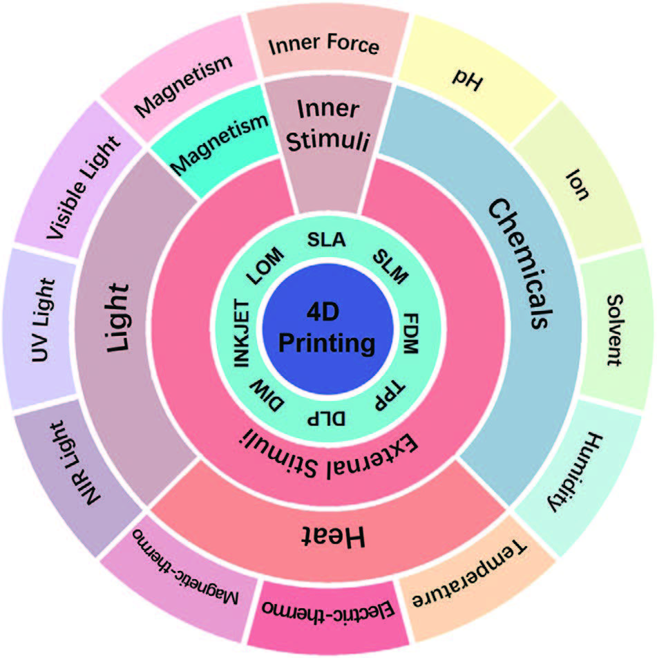 Classification of 4D printing