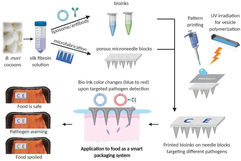 Schematic illustration of a food quality monitoring system using silk microneedle arrays with printed bioinks as colorimetric sensors