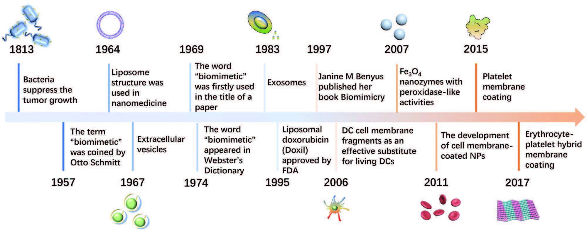 A brief timeline for the development of biomimetic technology
