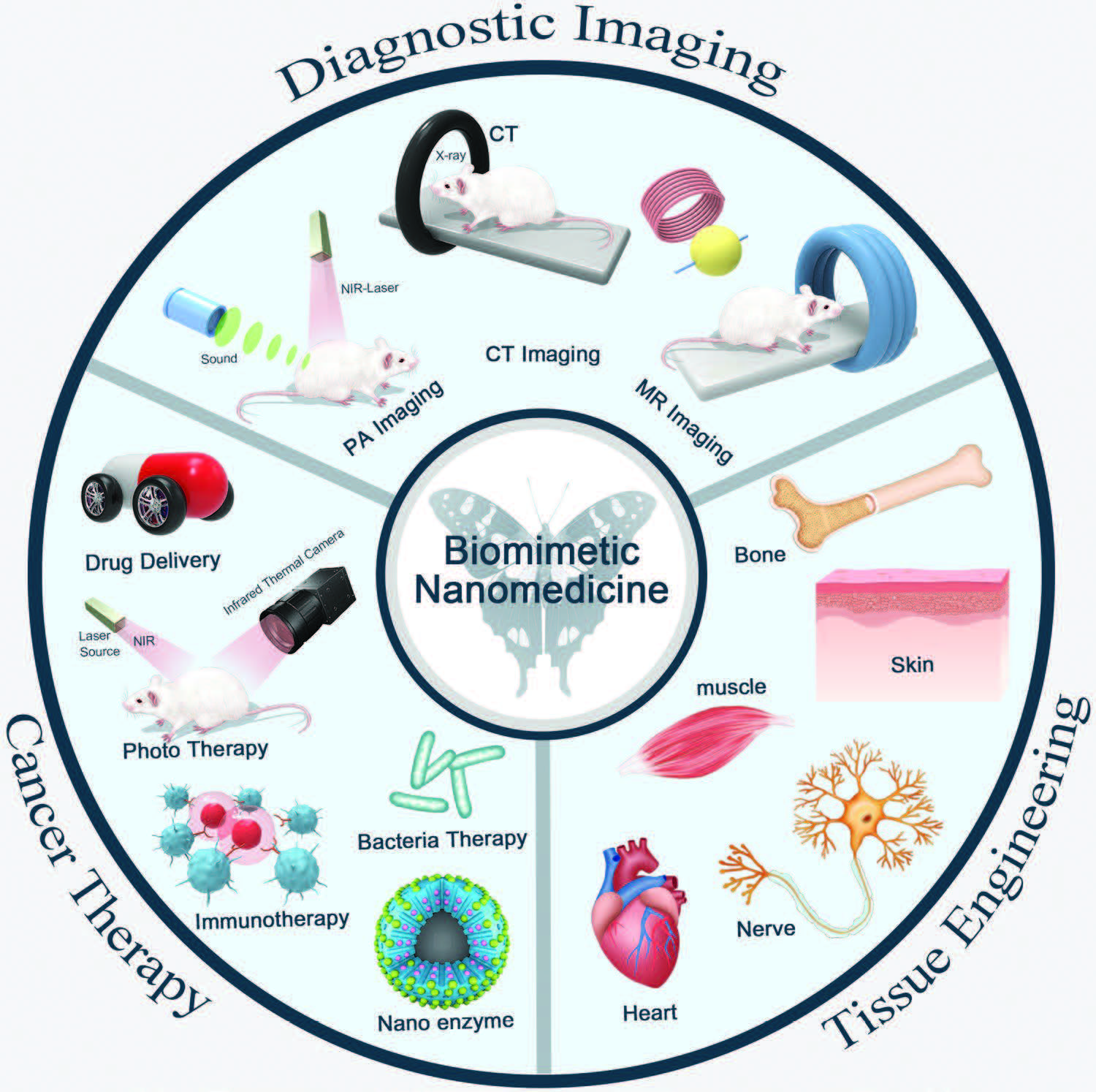 Schematic illustration of nanobiomimetic medicine in diagnostic imaging, cancer therapy, and tissue engineering