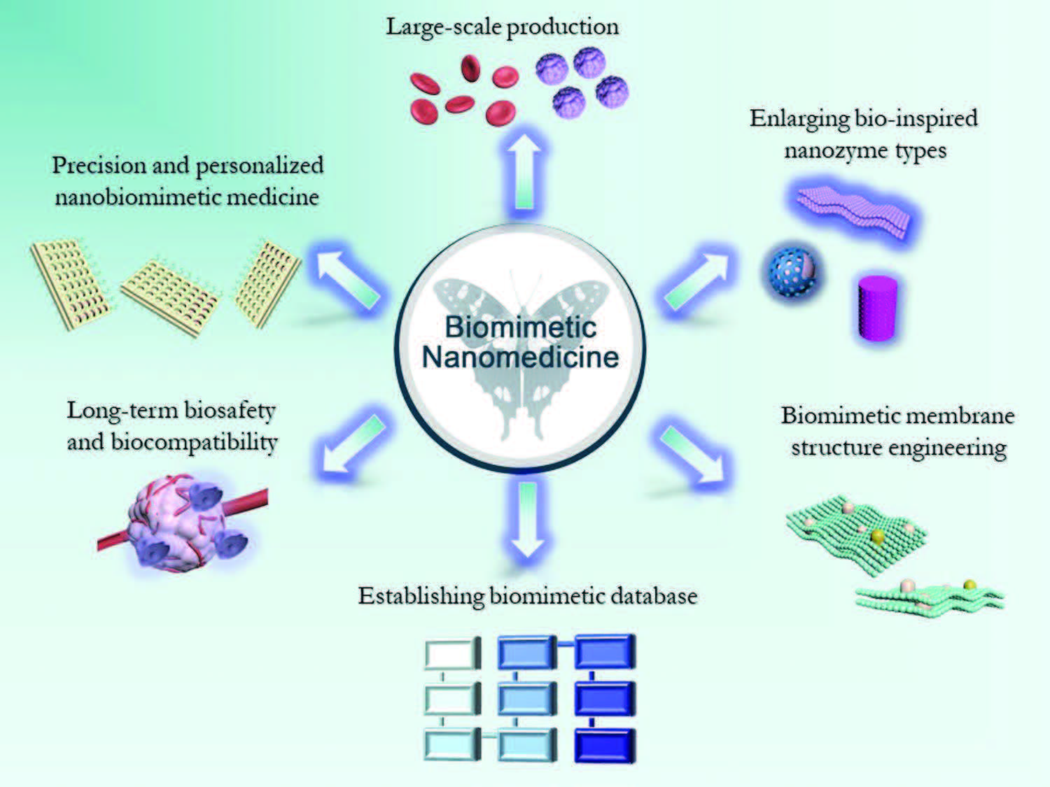 Schematic illustration of the development and challenges of nanobiomimetic medicine