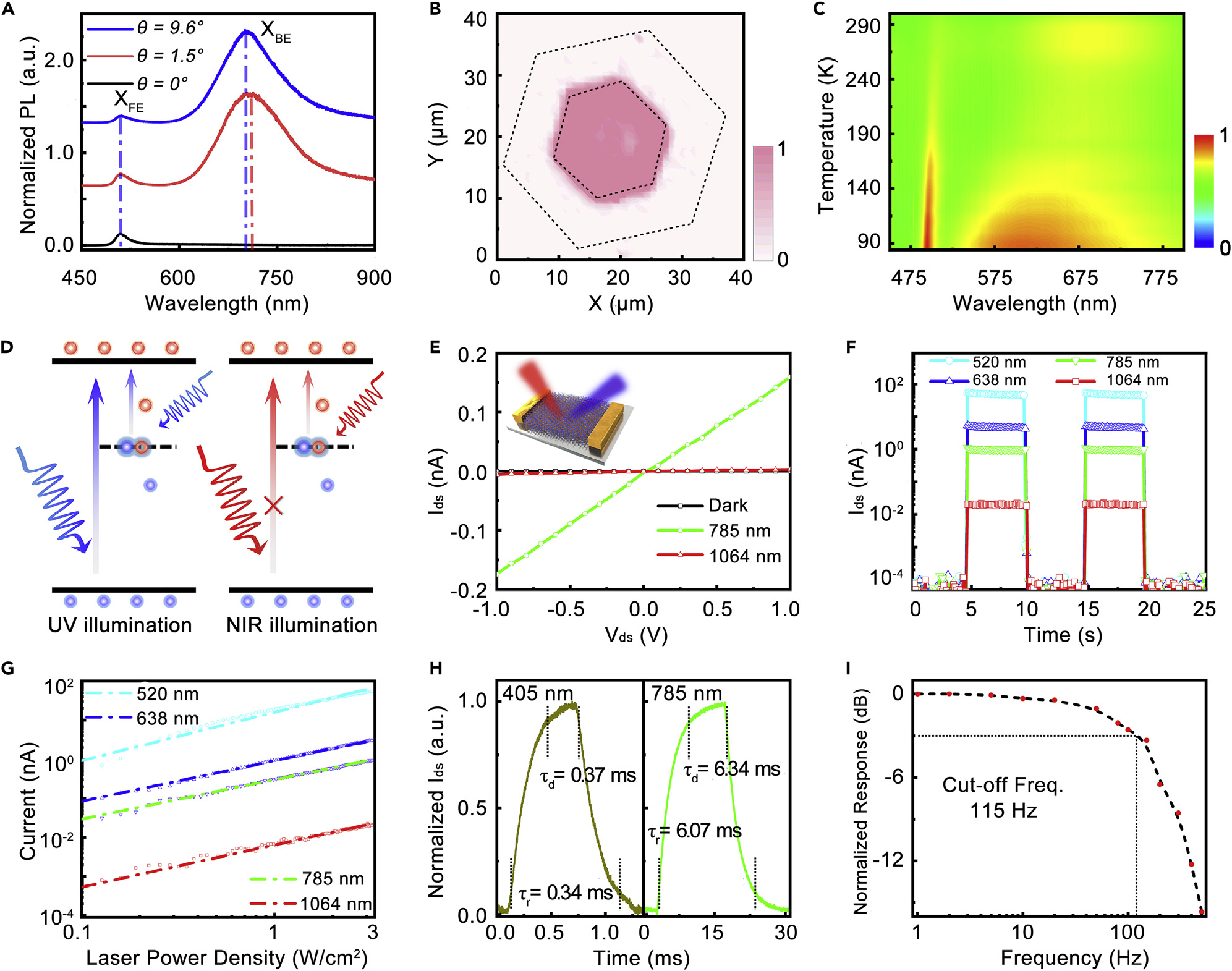  Exciton-phonon coupling and photodetection of twisted PbI2 homostructures