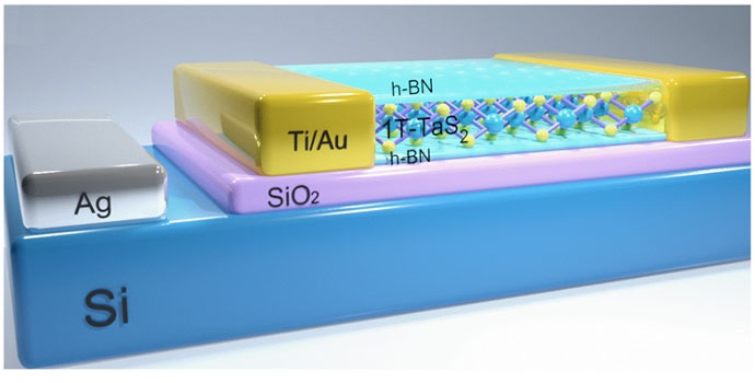 Schematic of the 1T-TaS2 heterostructure devices encapsulated in h-BN layers