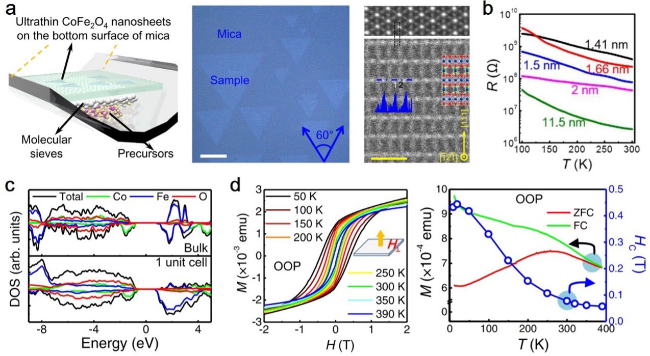 Van der Waals epitaxial growth of ultrathin cobalt ferrite nanosheets, as well as their semiconducting and magnetic properties