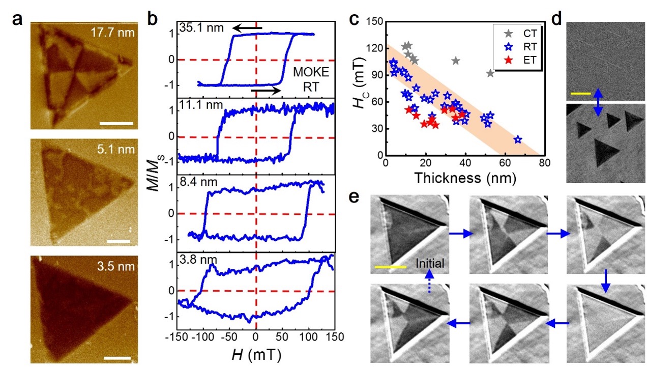 Thickness-dependent magnetic properties of cobalt ferrite nanosheets