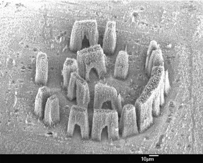 Micro Stenohenge made of carbon nanotubes