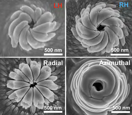 Fabrication of spiral nanostructures with vector beams