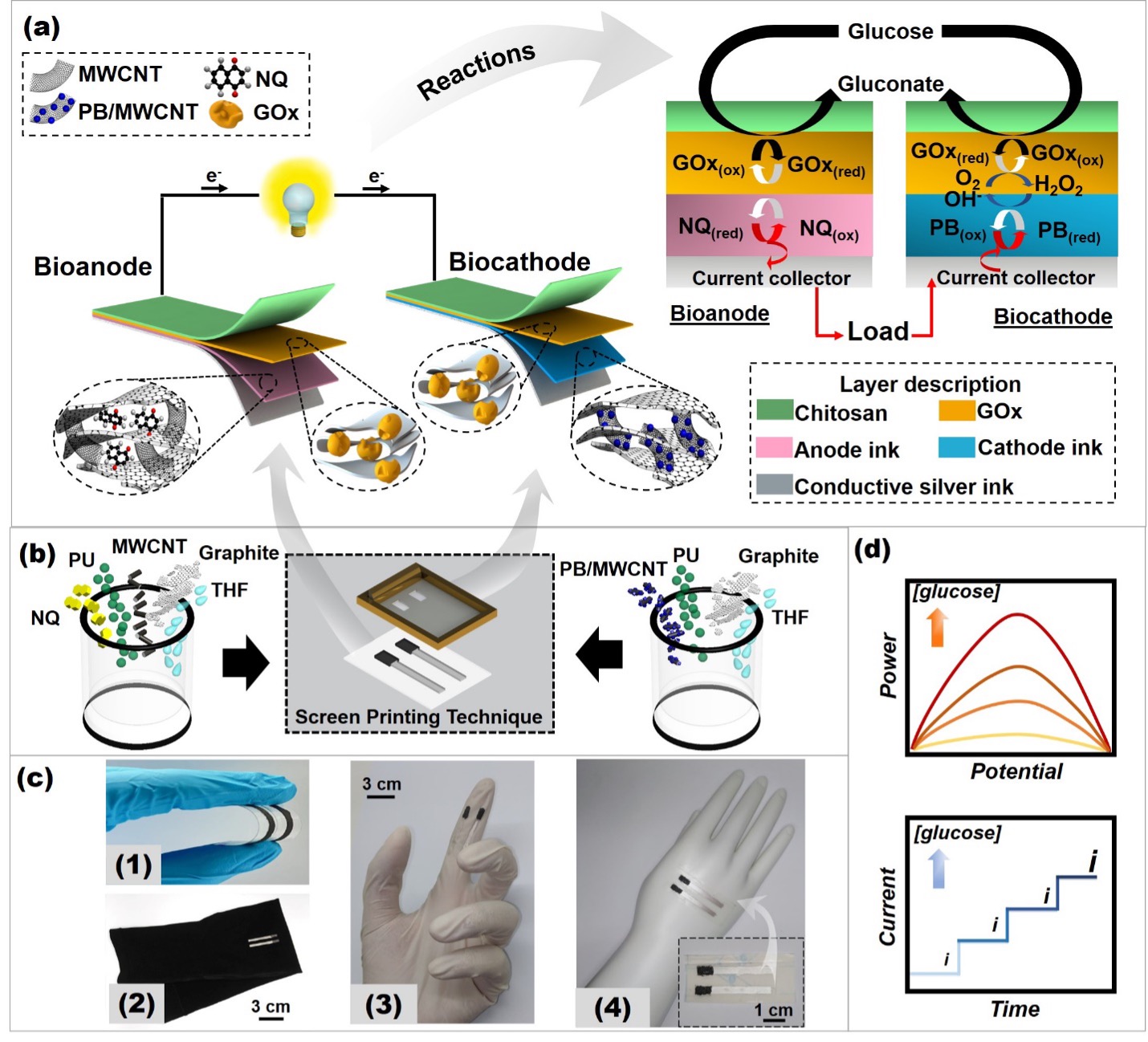 Conceptual presentation of a flexible, screen-printed, single-enzyme-based system for energy harvesting from glucose and self-sensing glucose