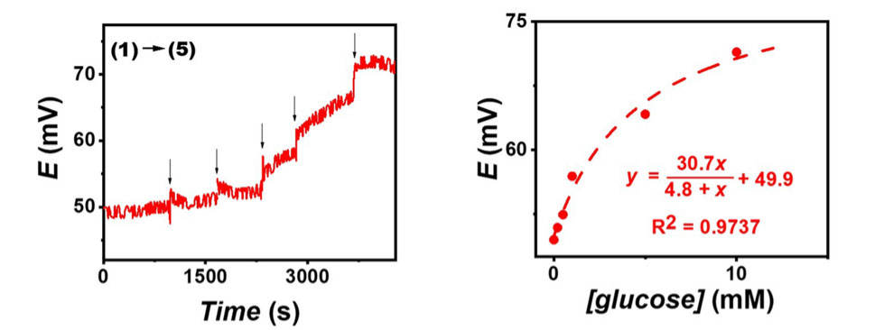 The self-generated voltage output obtained from a screen-printed glucose BFC and a wireless voltmeter, with no applied potential upon increasing the glucose concentrations