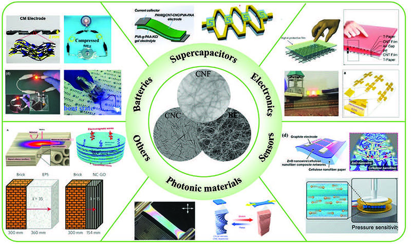 Overview of using nanocellulose as a building block for fabricating flexible materials in different forms, and their potential applications in various fields