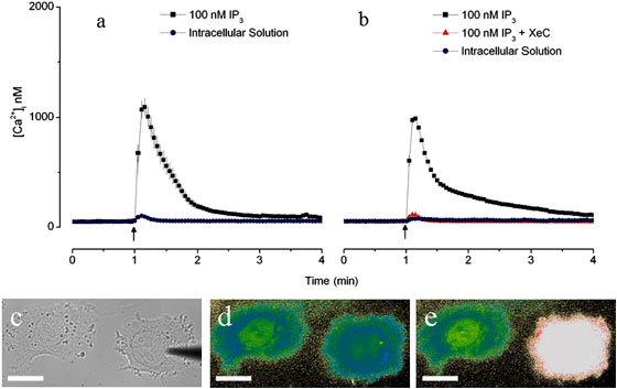 Integrated carbon-based nanopipette