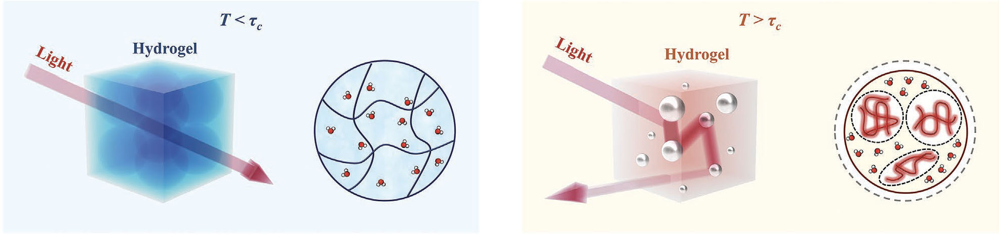 Proposed solar modulated thermochromic mechanism of PND hydrogel