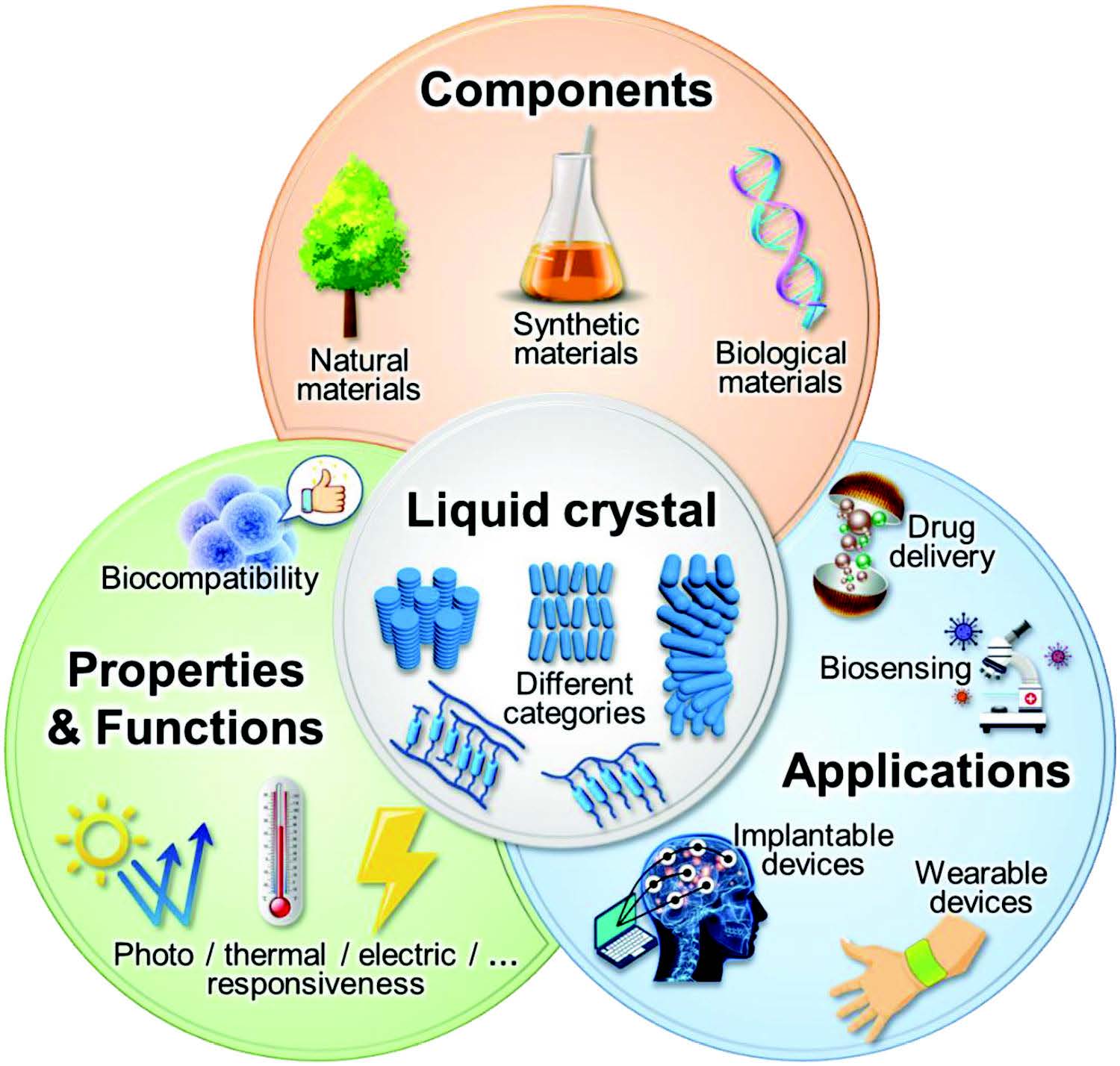 Overview of liquid crystal materials for biomedical applications