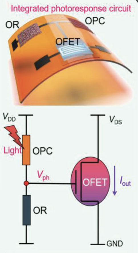 integrated photoresponse circuit consisting of OPC, OR, and OFET