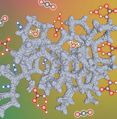 Water molecule enhanced CO2 binding with nano-bump morphology of SCCH