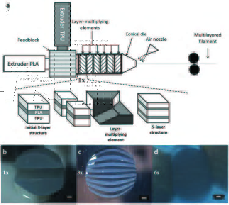 The fabrication of multilayer filaments using co-extrusion and linear multiplying elements