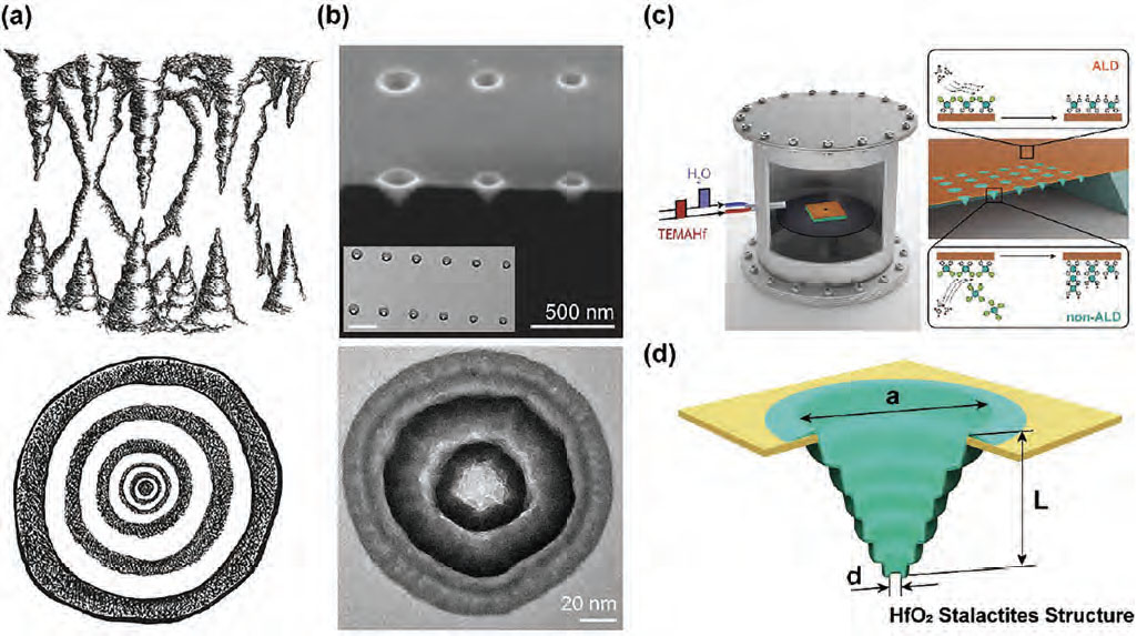 Natural and nature-inspired stalactite nanostructures