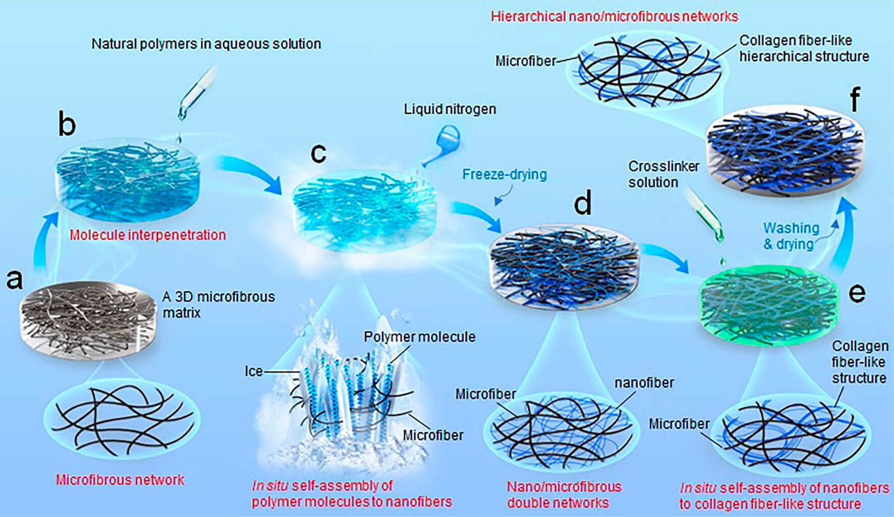Schematic illustration of scalable manufacturing of biomimetic 3D nano/microfibrous matrices by facile and eco-friendly in situ assembly of nanofibers