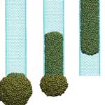 filling_a_carbon_nanotube
