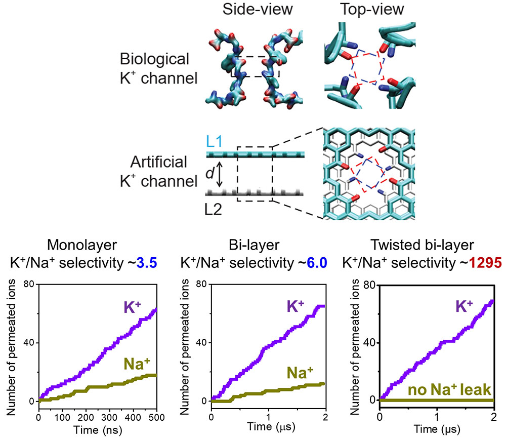 bi-layer graphene nanopore model with twisted carbonyl functionalization