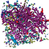 microtube-network