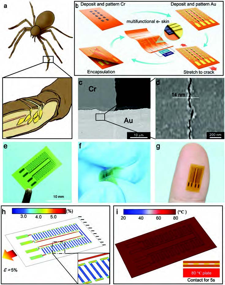 multifunctional e-skin manufactured by crack localized metal pattern