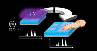 Frequency-independent triboelectric tactile sensor