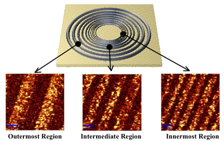 ring-patterned carbon nanotube rings