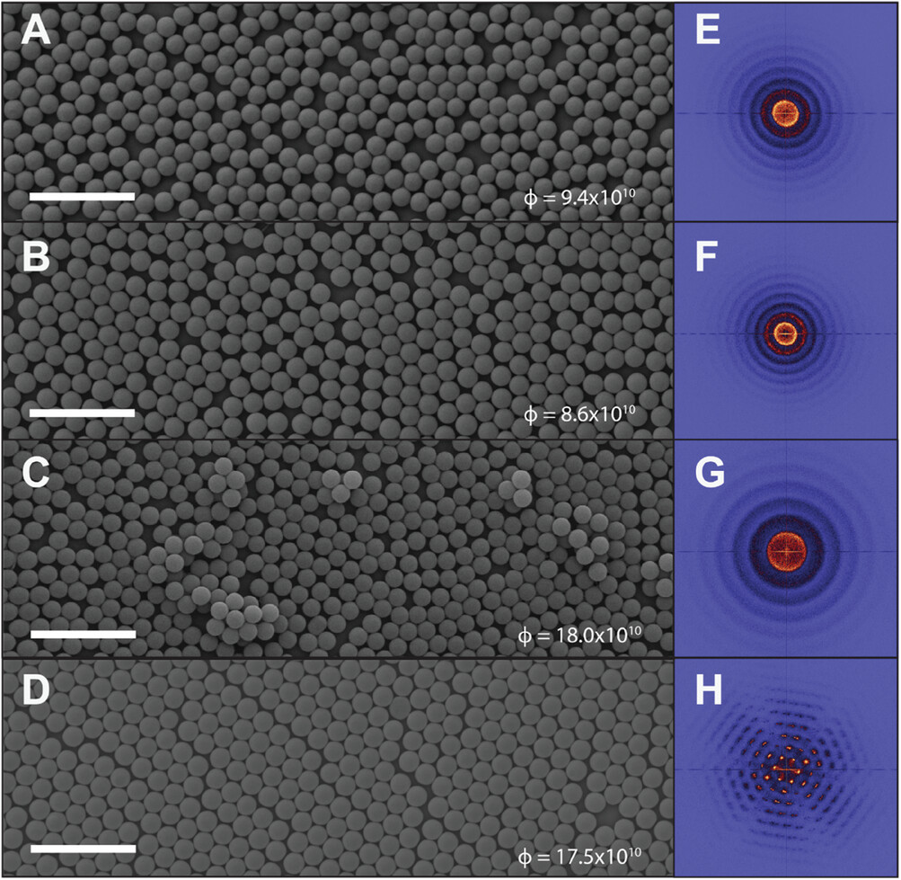 Scanning electron microscope (SEM) images of self-assembled nanoparticle (NP) monolayers