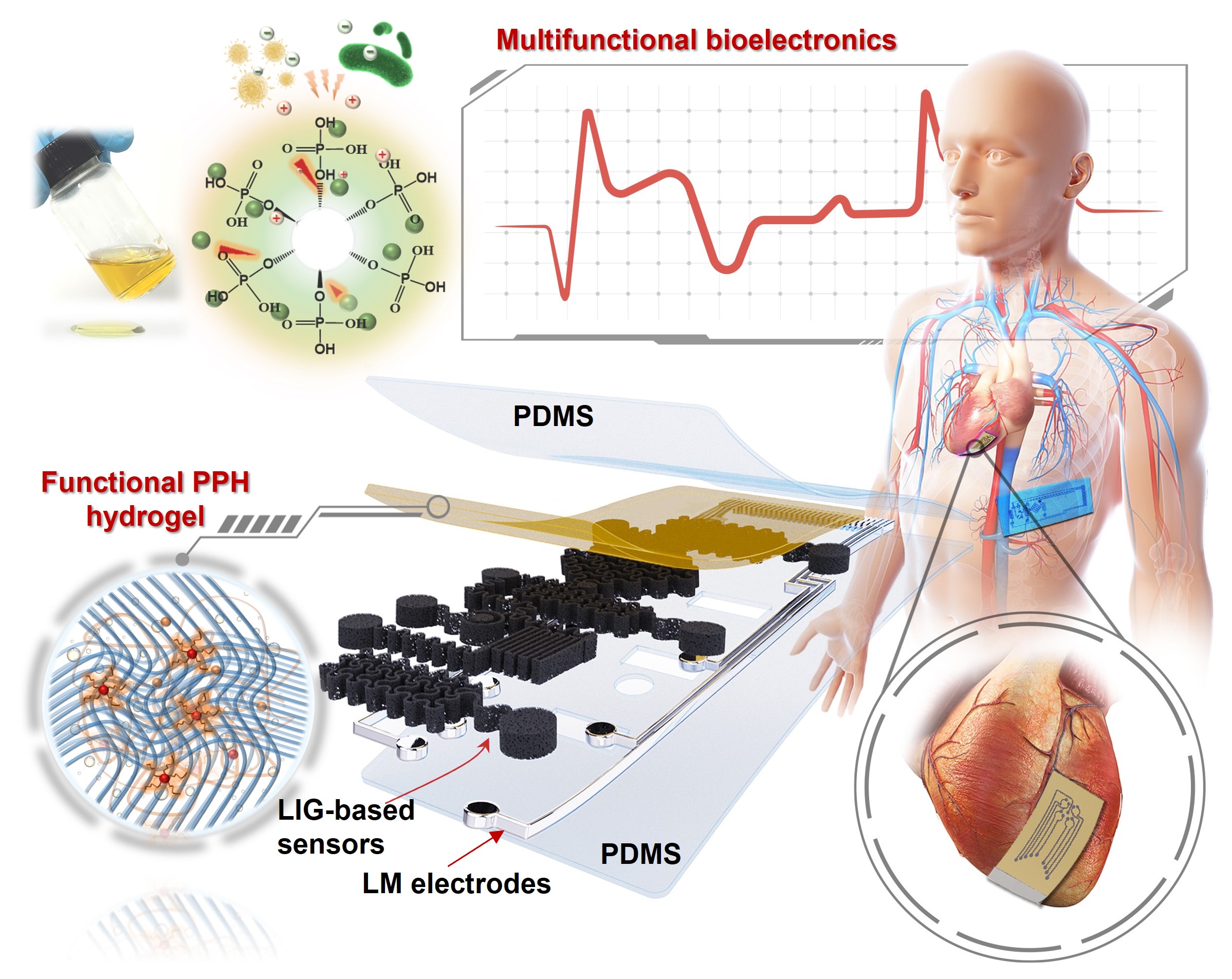 Design of ultrathin, antibacterial and biocompatible PPH hydrogel-enhanced stretchable nanocomposites for wearable and implantable bioelectronics