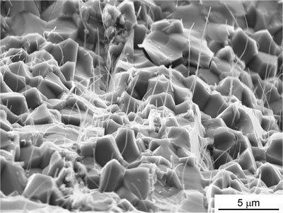 carbon nanotubes protruding fom a farcture surface