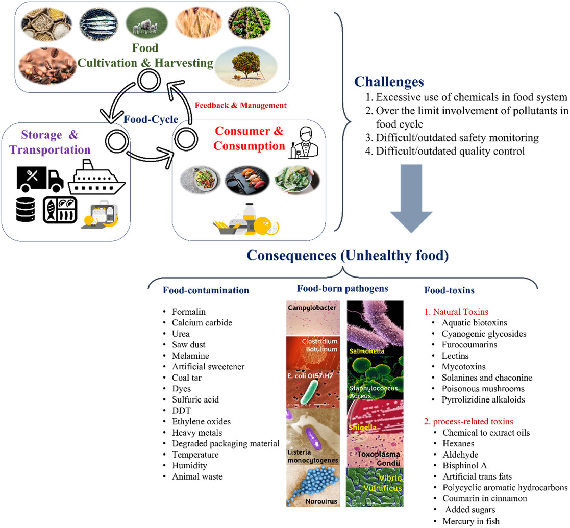 Food cycle and associated challenges (contaminants, toxins, and pathogens) to maintain safety and quality, needed for health wellness