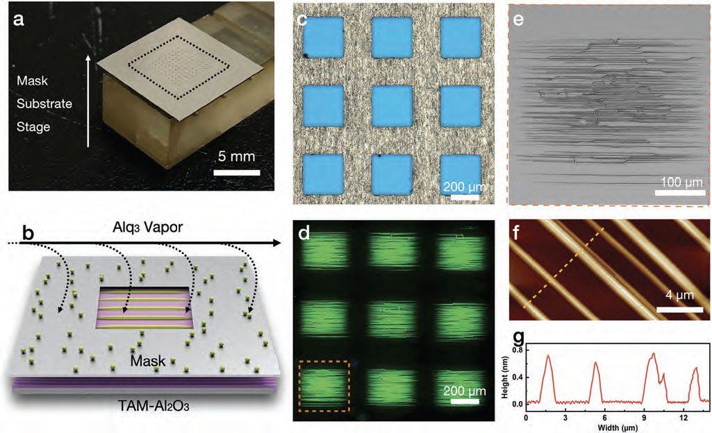 Selective-area growth of self-oriented Alq3 nanowires