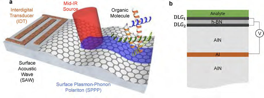 Schematics of surface-acoustic-wave-driven plasmonic biosensor