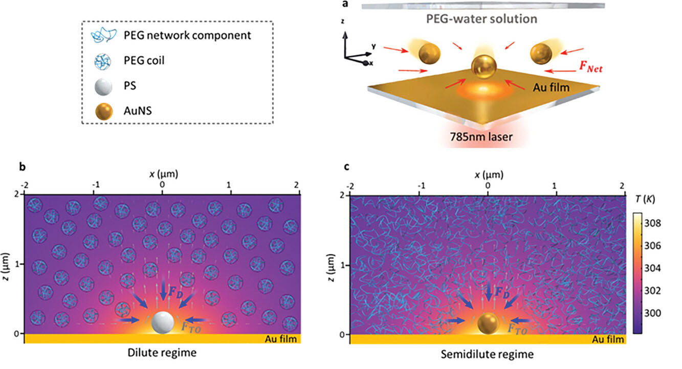 working principle of highly adaptable optothermal nanotweezers