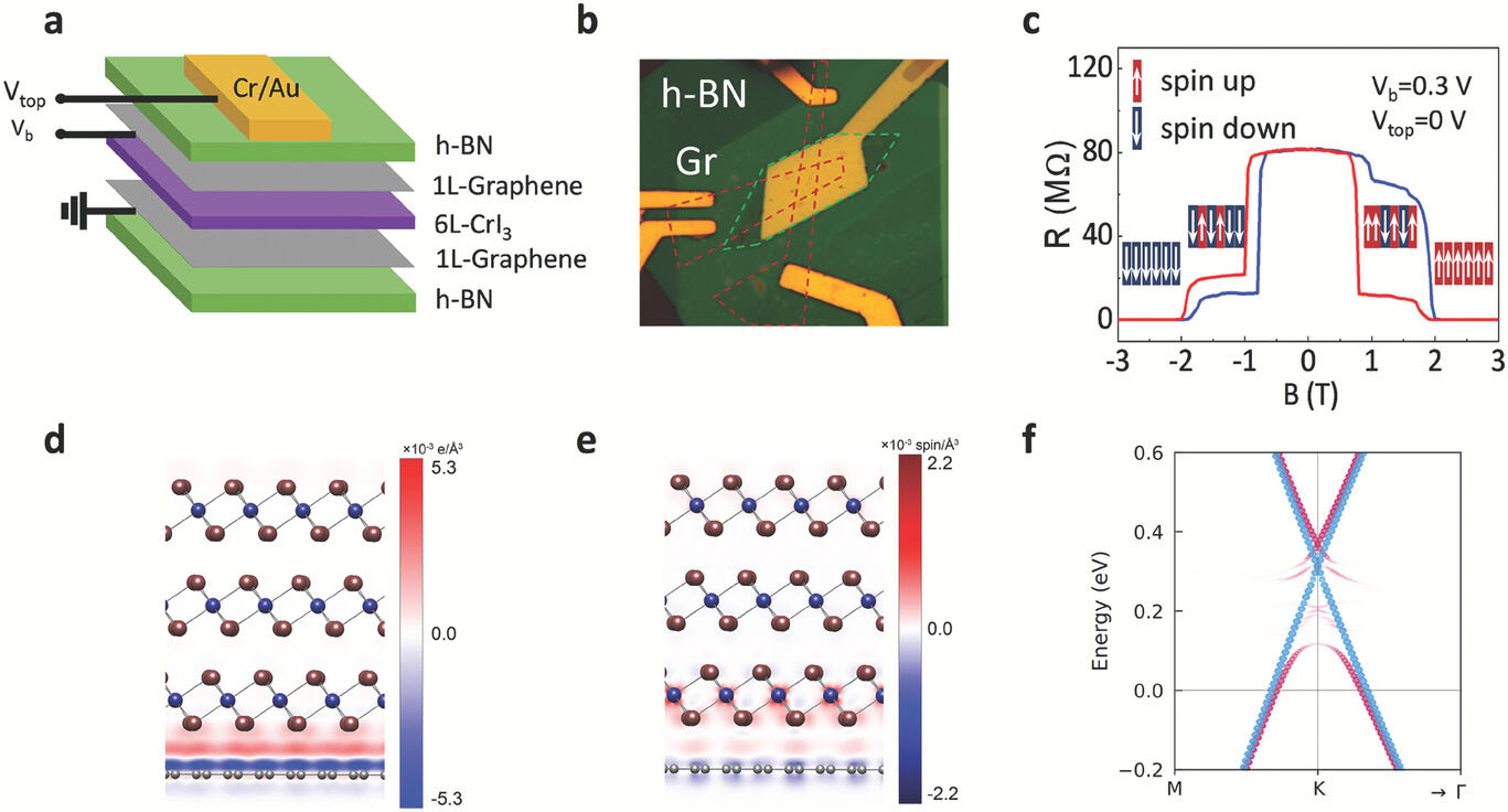 Spin-dependent band hybridization in graphene on CrI3