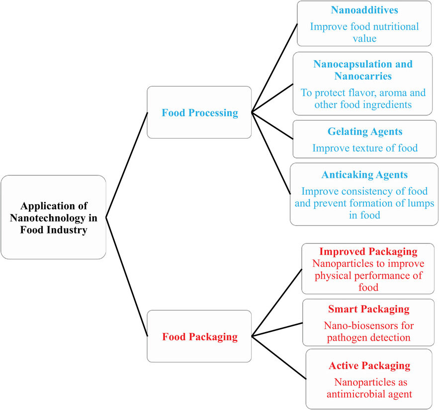 Nanotechnology applications in the food industry