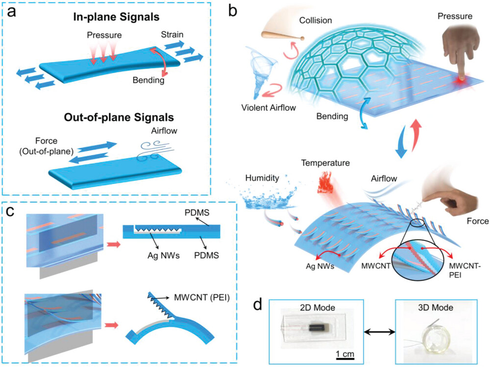 Mechanical design of the stretchable biomimetic multimodal receptor