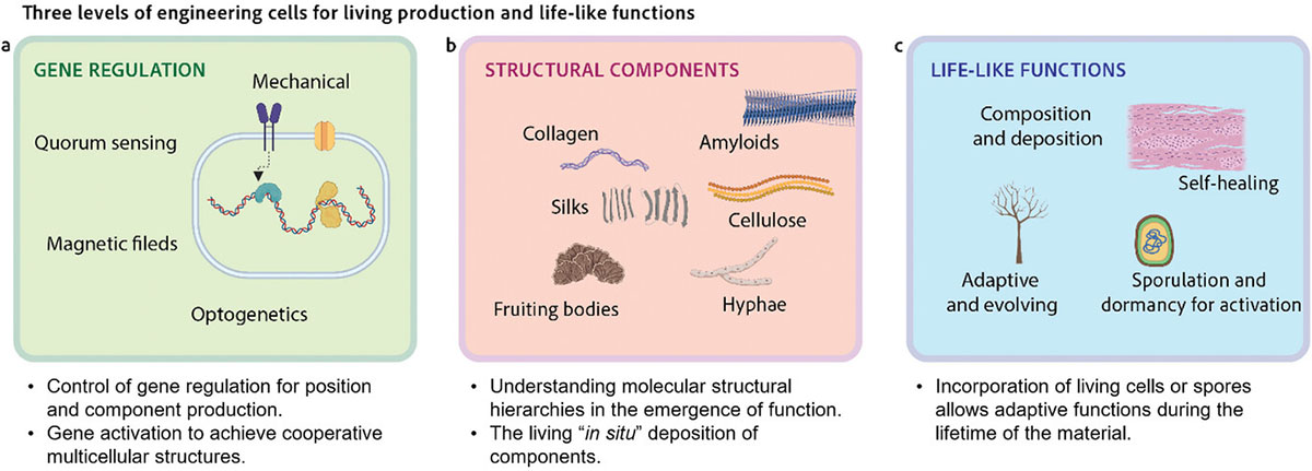Living–non-living interactions
