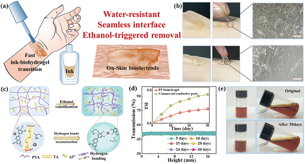 Mechanism of on-skin paintable waterproof biohydrogel