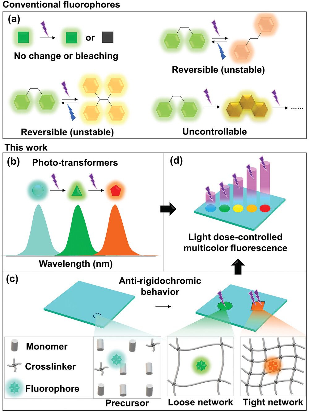 Illustration of the photoresponses of conventional fluorophores and phototransformers