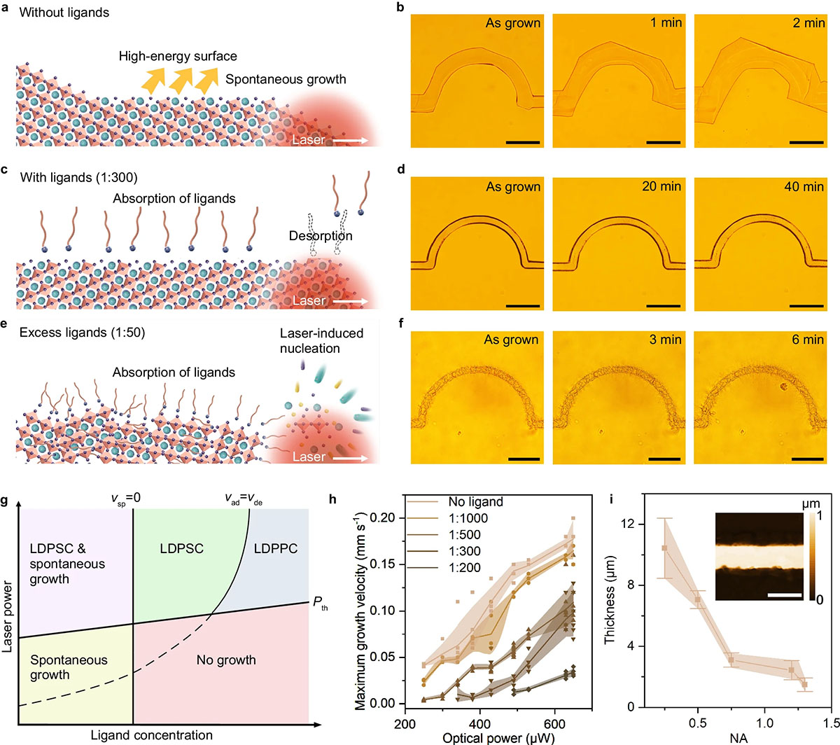 Laser-controlled crystallization kinetics