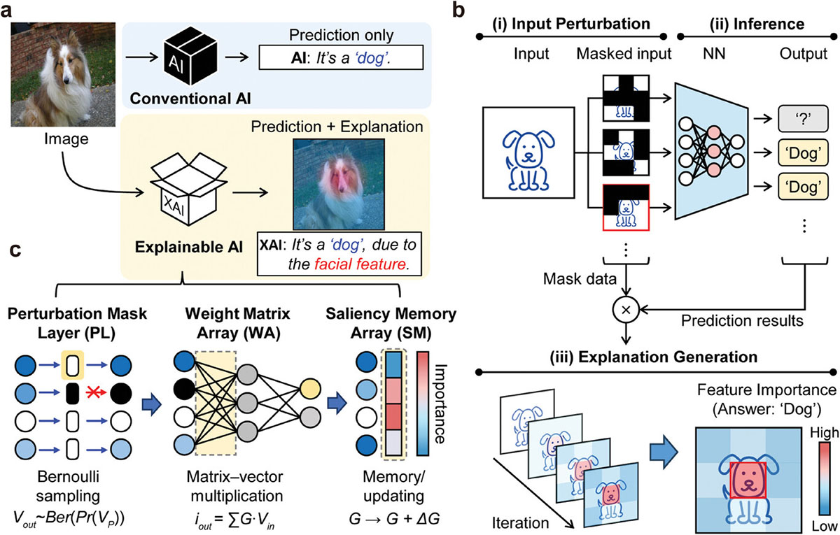 Overview of perturbation-based explainable AI (XAI) system