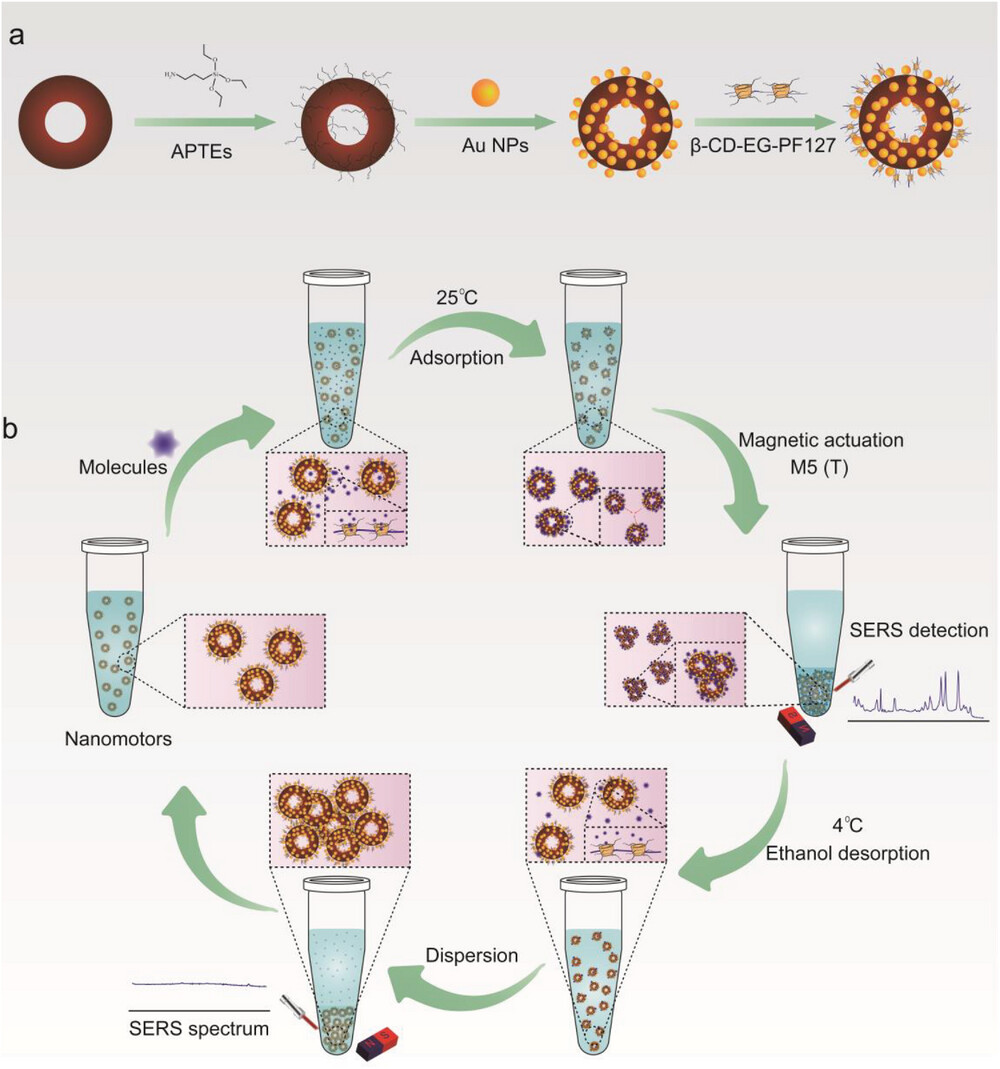 Fabrication and sensing of RAP nanomotors