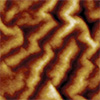 microrobot