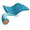 nanofiber