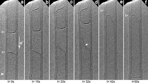 TEM images for the catalyst-free growth of single-walled carbon nanotubes